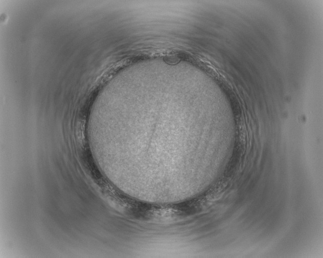 X0000070370695200607072129