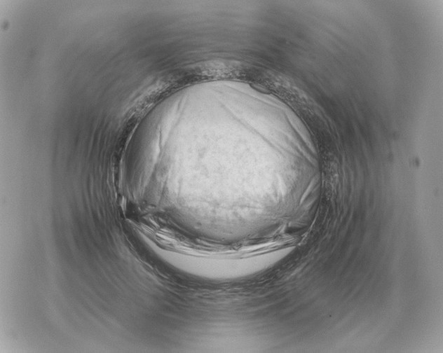 X0000070370696200607072129