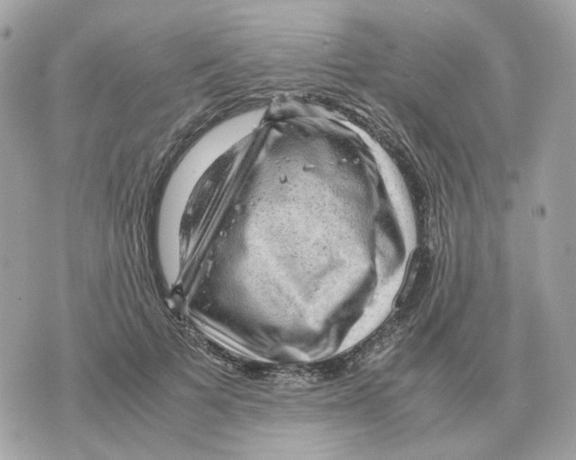 X0000070370697200607072129