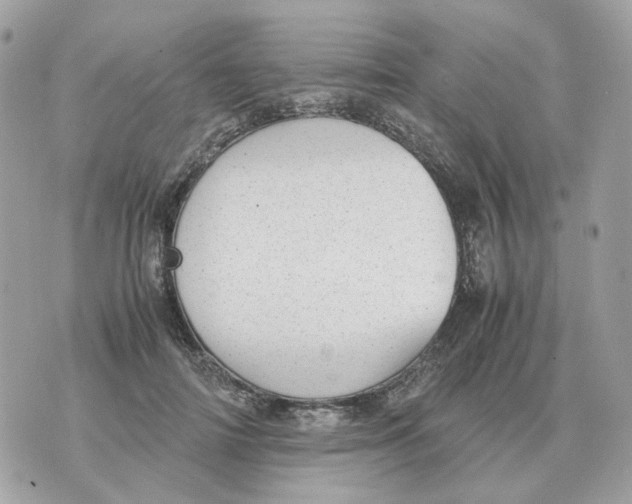 X0000070370698200607072129