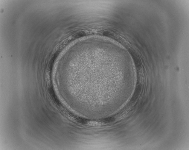 X0000070370699200607072129