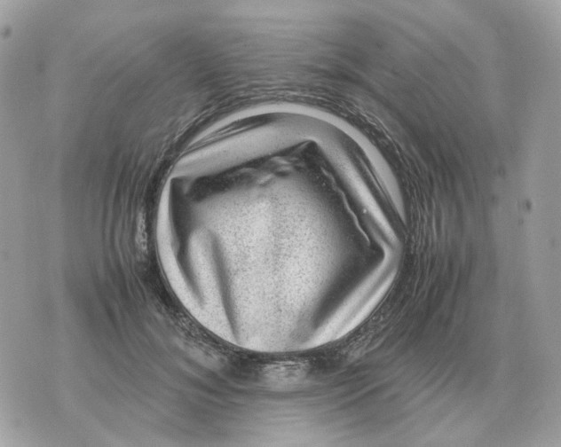 X0000070370700200607072129