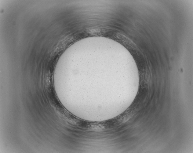 X0000070370702200607072129