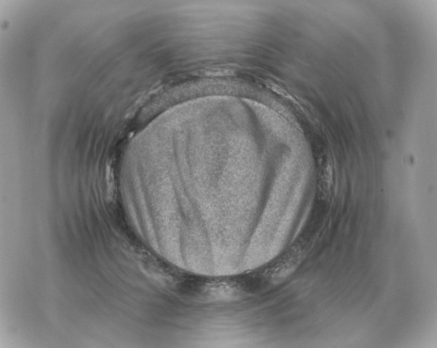 X0000070370704200607072129