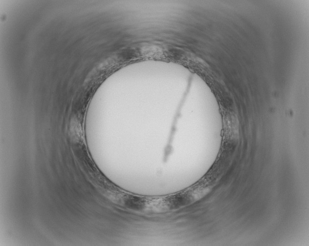 X0000070370705200607072129