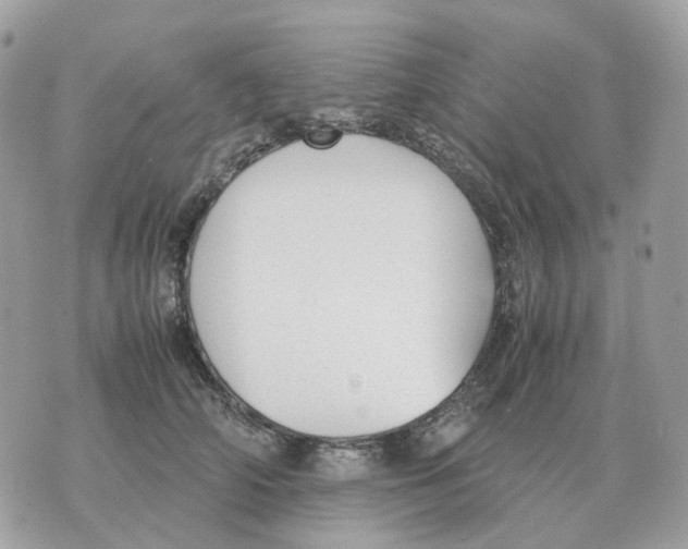 X0000070370706200607072129