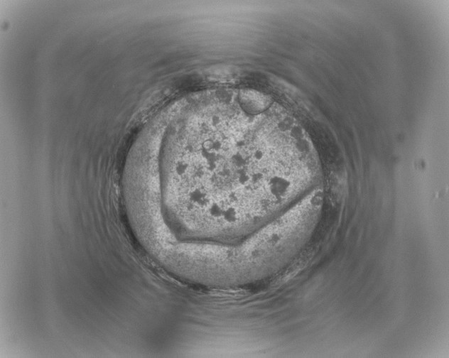 X0000070370707200607072129