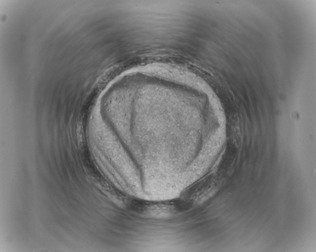 X0000070370708200607072128