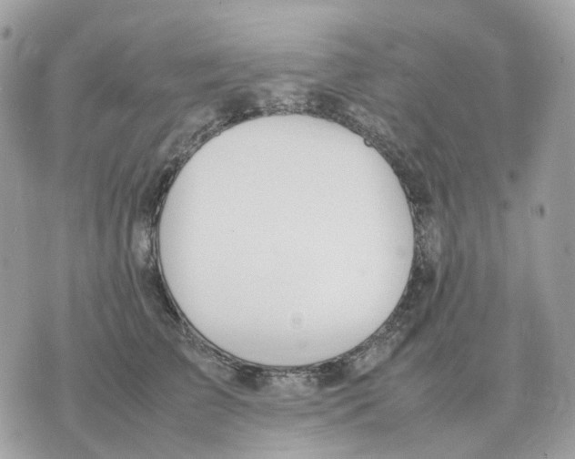 X0000070370709200607072128