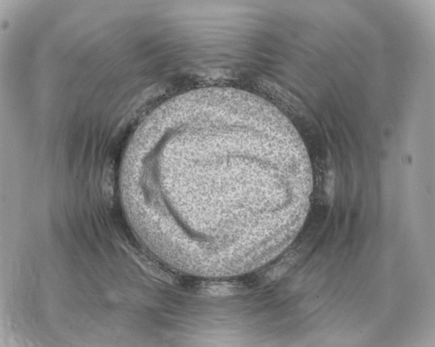 X0000070370710200607072128