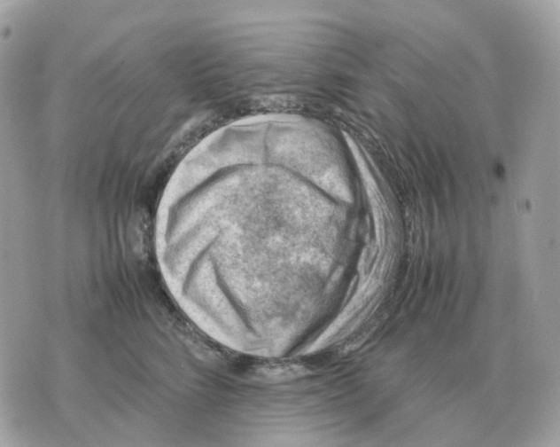 X0000070370712200607072128