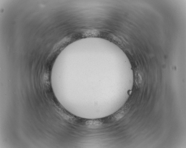 X0000070370714200607072128