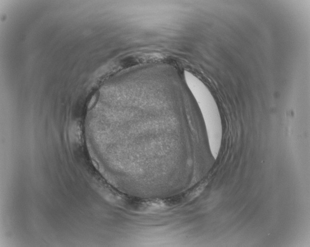 X0000070370715200607072128