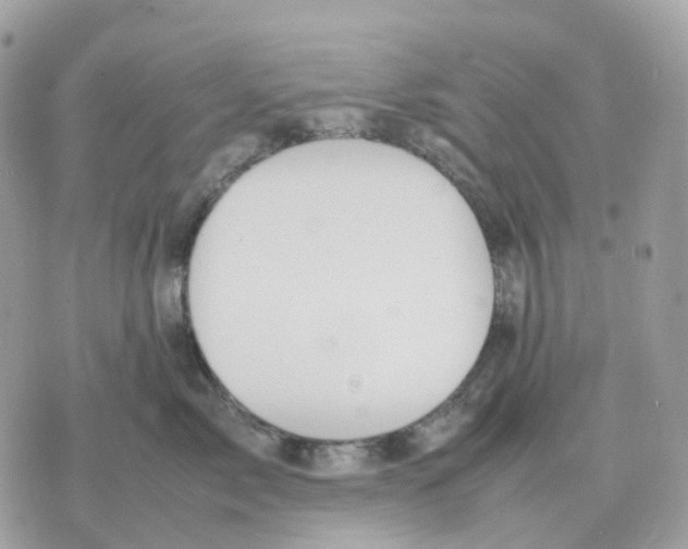 X0000070370717200607072128