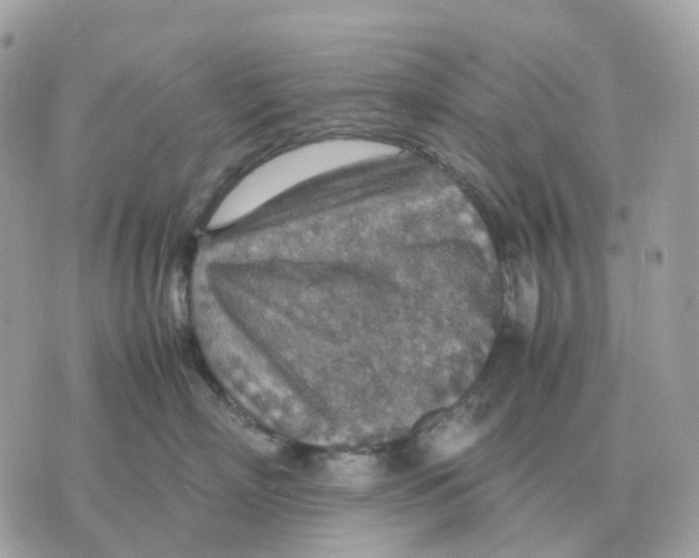 X0000070370718200607072128