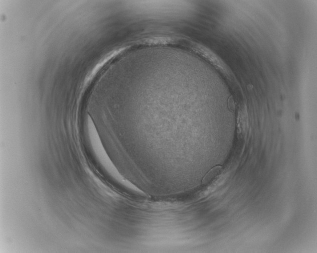 X0000070370722200607072128