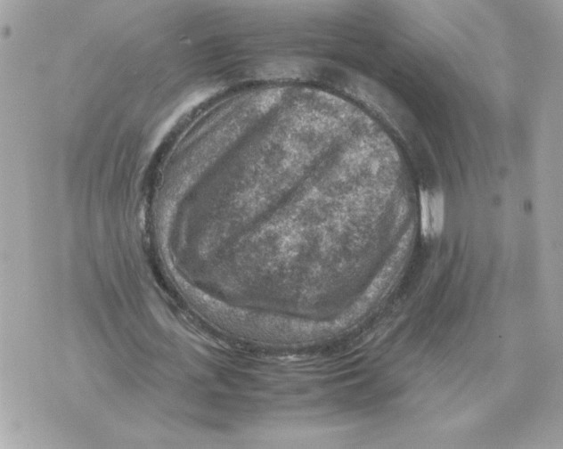 X0000070370723200607072128