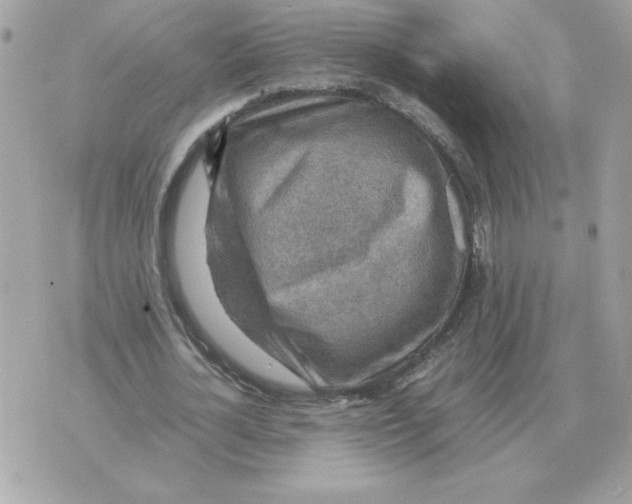 X0000070370724200607072128