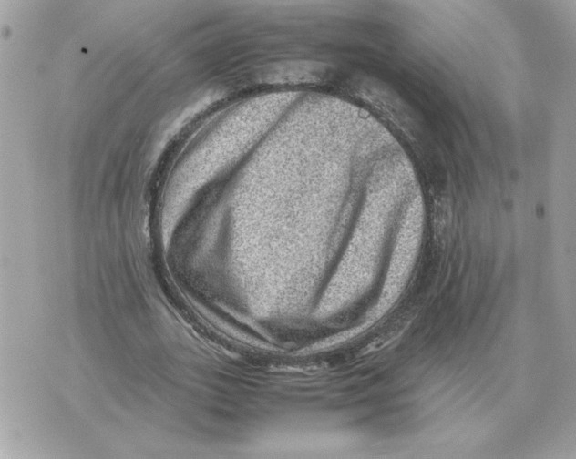 X0000070370727200607072128