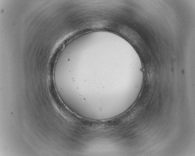 X0000070370728200607072128