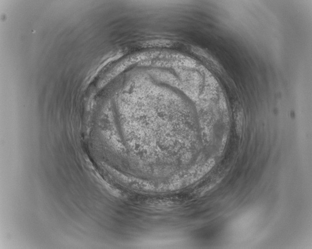 X0000070370729200607072128