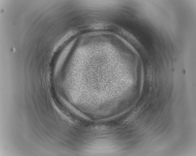 X0000070370730200607072128