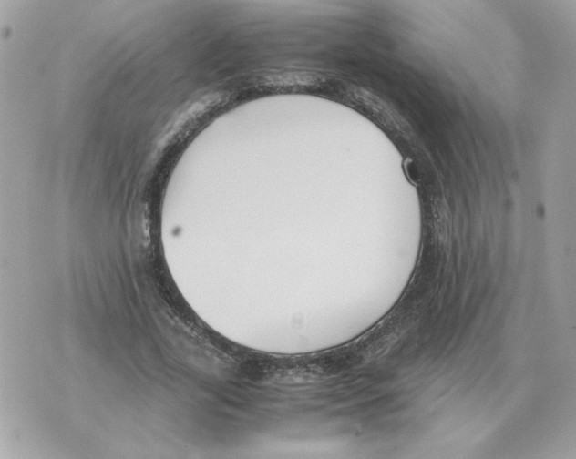 X0000070370731200607072128