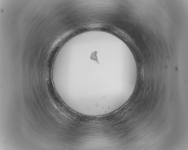 X0000070370732200607072128