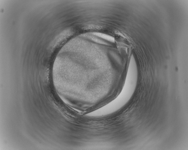 X0000070370735200607072128