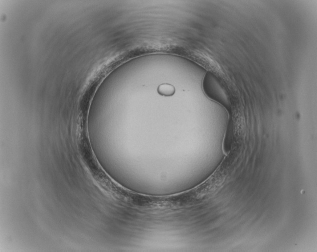 X0000070370736200607072128