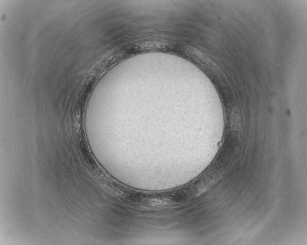 X0000070370737200607072128