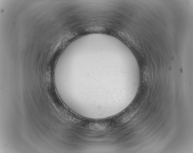 X0000070370739200607072128