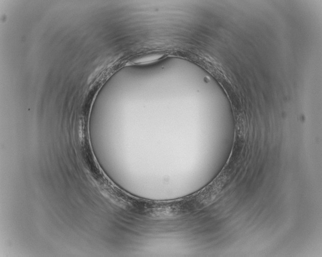 X0000070370740200607072128