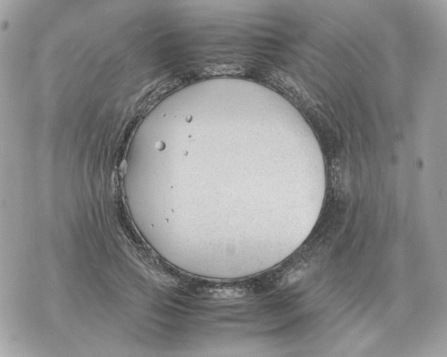 X0000070370741200607072128