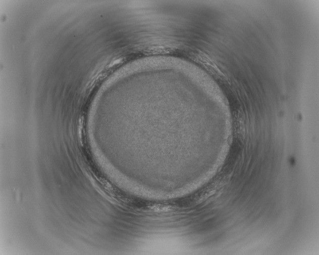 X0000070370742200607072128