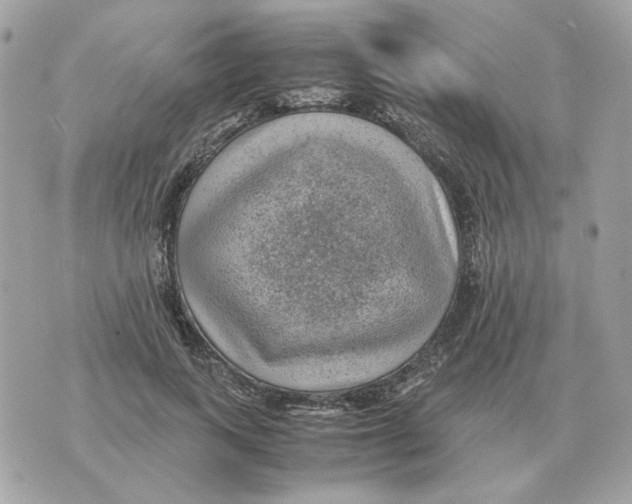 X0000070370743200607072128