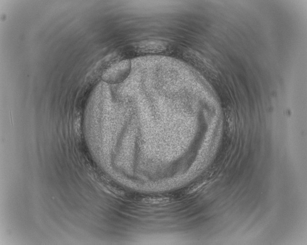 X0000070370745200607072128