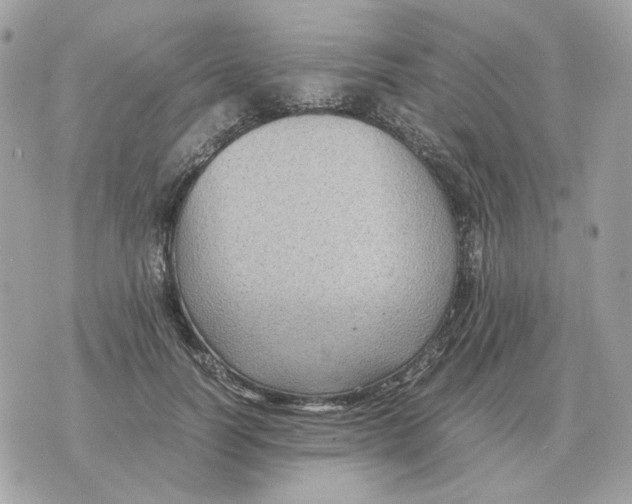 X0000070370746200607072128