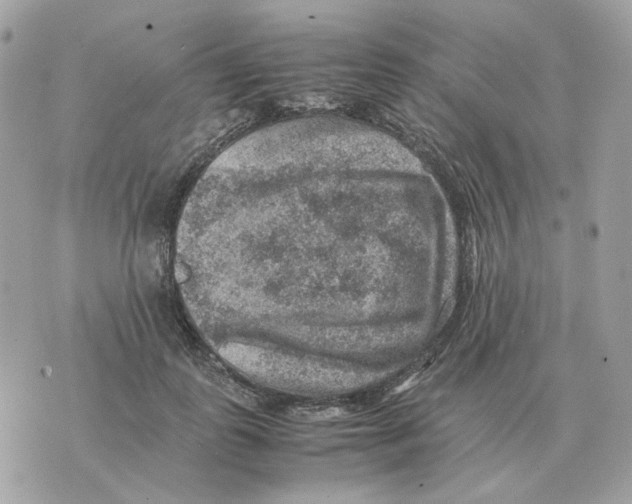 X0000070370747200607072128