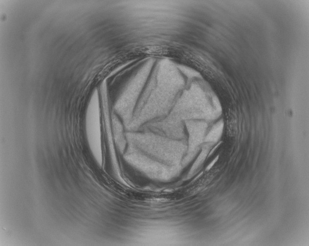 X0000070370748200607072128