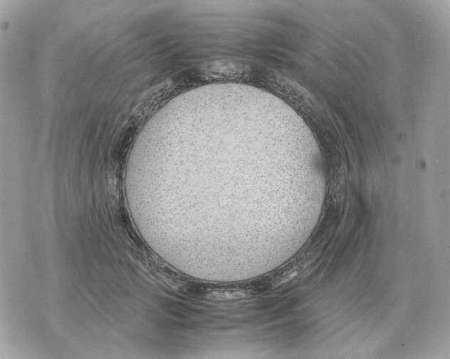 X0000070370749200607072128