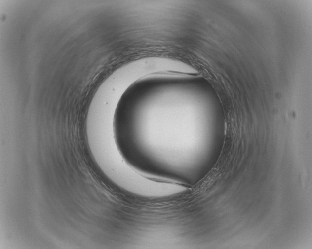 X0000070370750200607072128