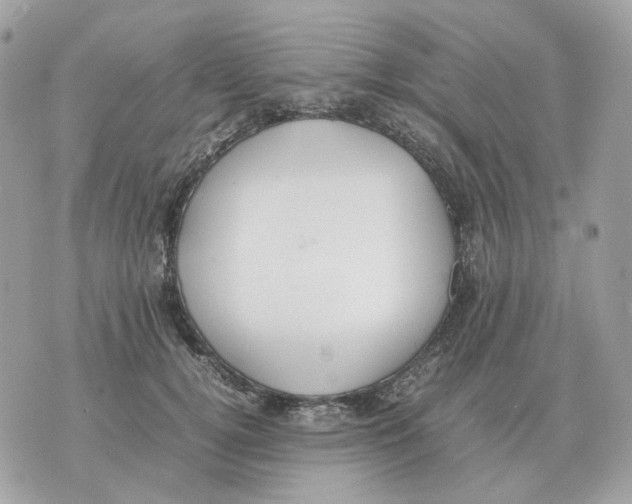 X0000070370752200607072128