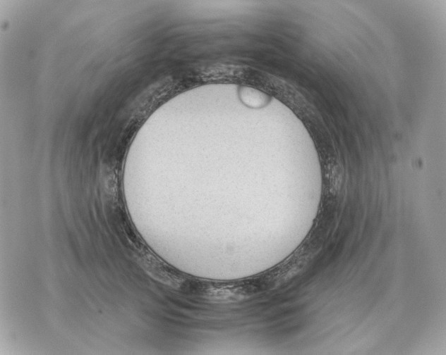 X0000070370753200607072128