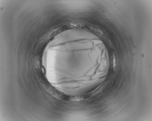 X0000070370754200607072128