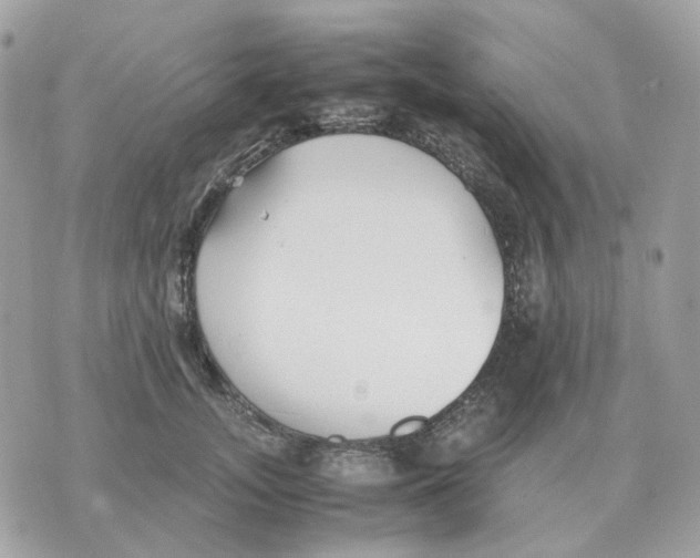 X0000070370755200607072128