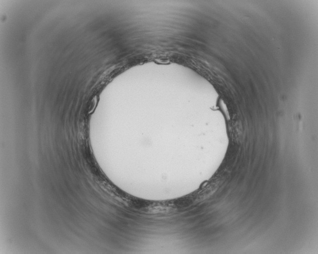 X0000070370756200607072128