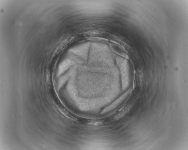 X0000070370760200607072128