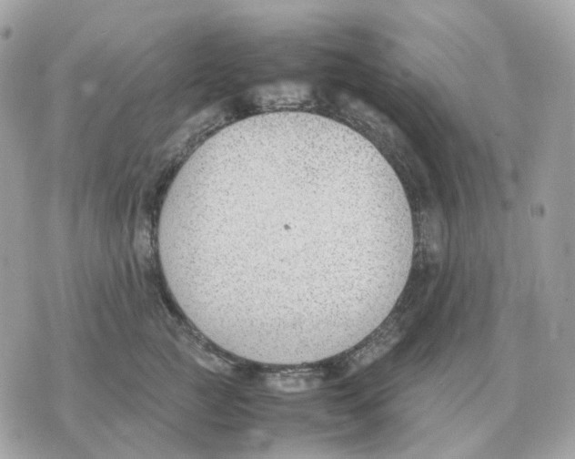 X0000070370761200607072128