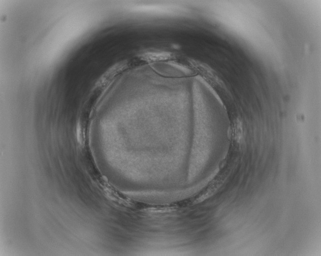 X0000070370763200607072128